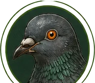 Taube, Illustration zur Taubenabwehr